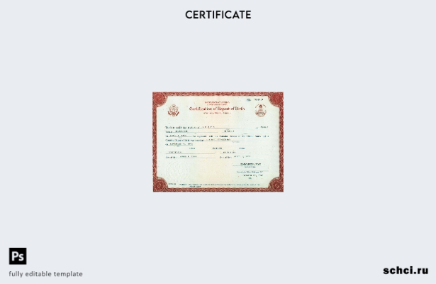 скачать цифровой образец свидетельства о рождении Государственного департамента 